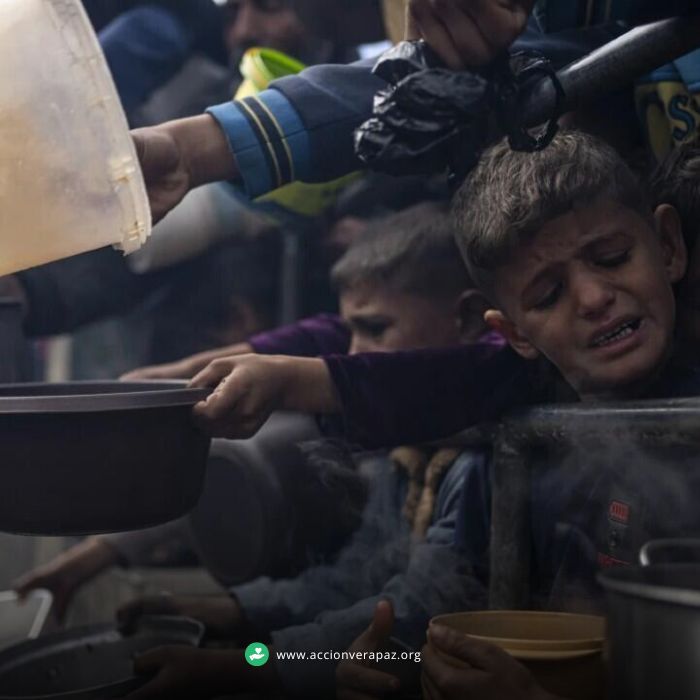 En Gaza, el hambre se utiliza como arma de guerra