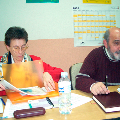 Ana Mancho en una reunión