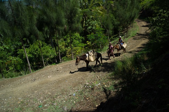 camino-acceso-comunidad-rural-lavial-1441198020078