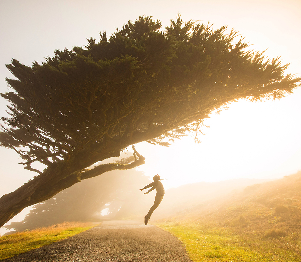 stephen leonardi wPlzrculha8 unsplash