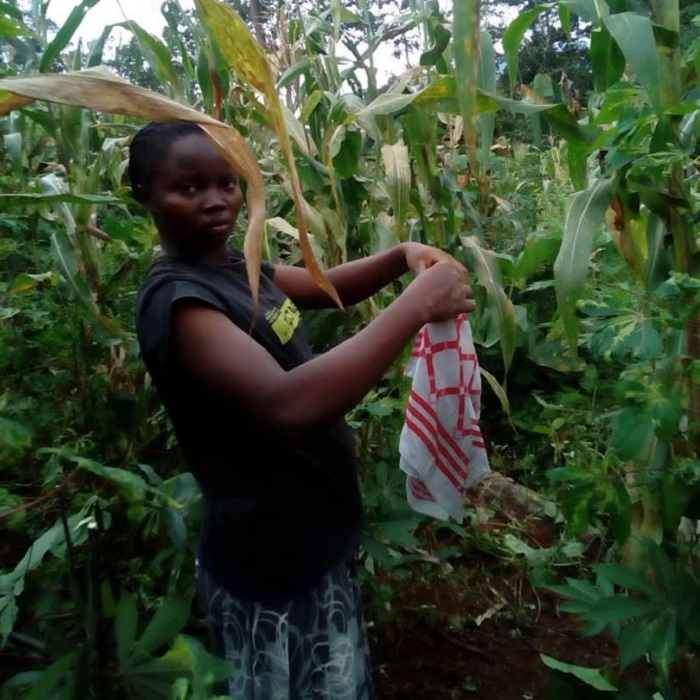 Desarrollo de un campo, en Yaoundé