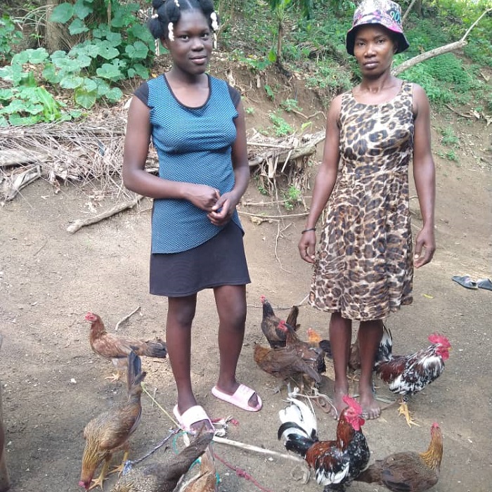Cría de gallinas para Jóvenes y sus familias