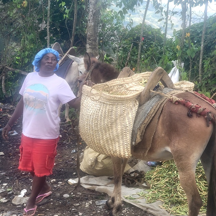 “portadaproyecto”